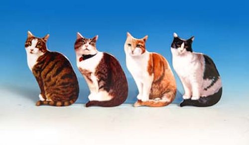 CAT3357 Plastic Cat Magnet 4 asst